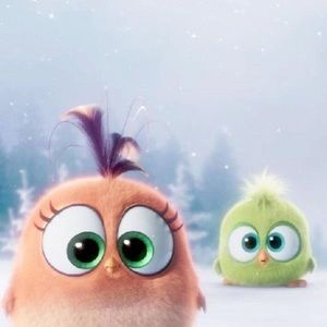 Meet your Posher, Alis